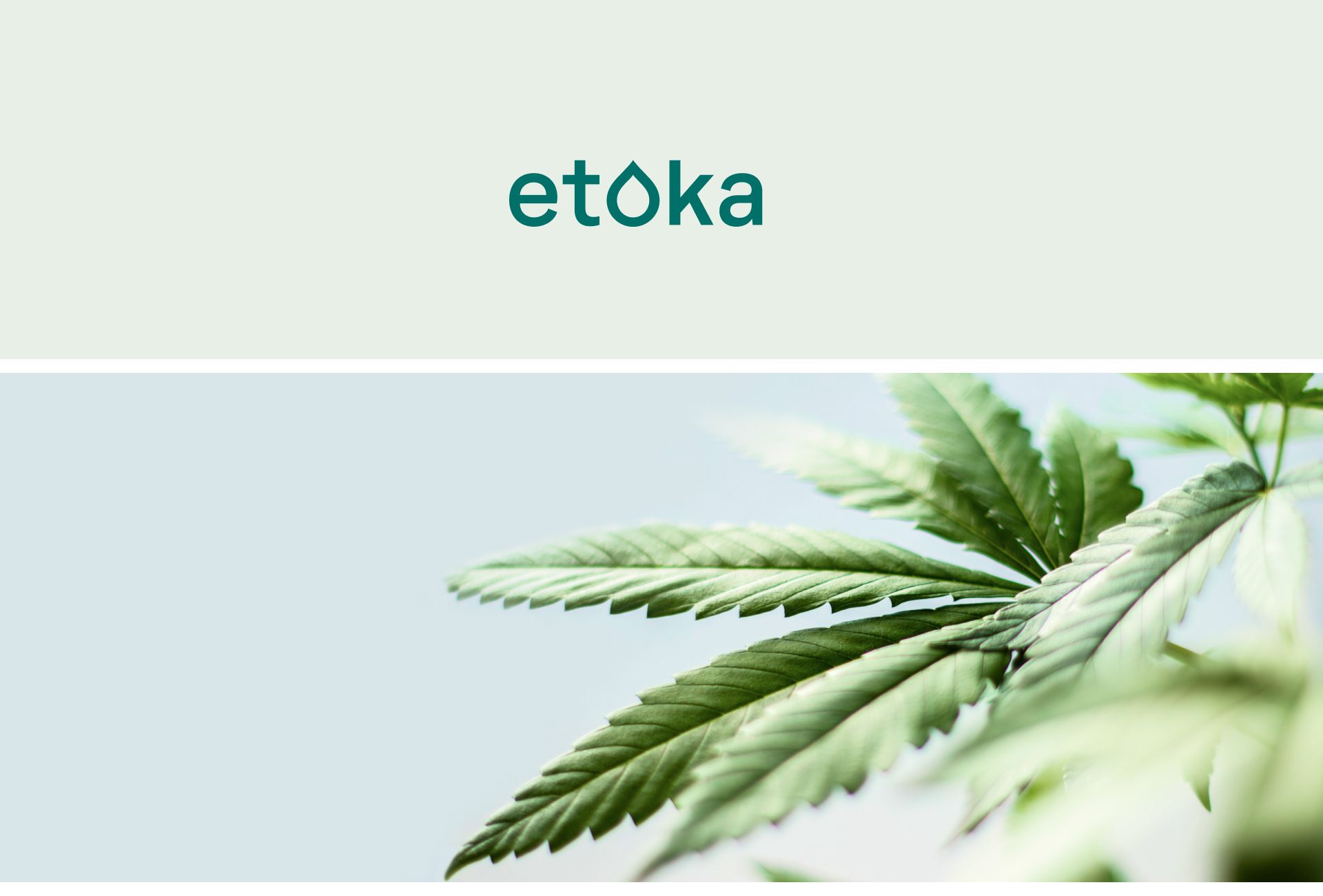 etoka wordmark and Ensō circle brand mark